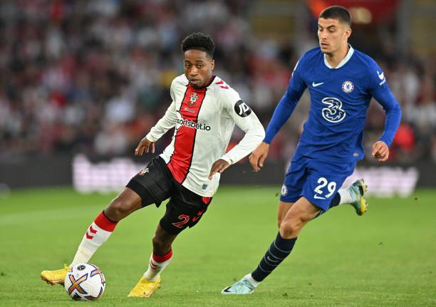 蒂尔尼经常 蒂尔尼经常